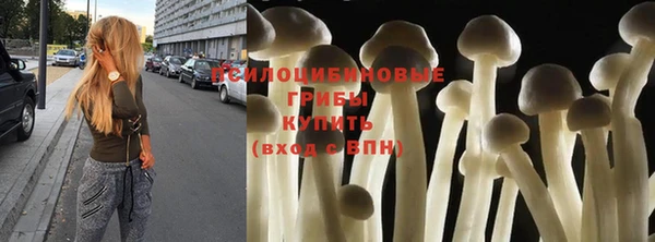 прущие крисы Алзамай