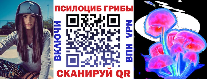кракен зеркало  где найти   Николаевск-на-Амуре  Галлюциногенные грибы прущие грибы 